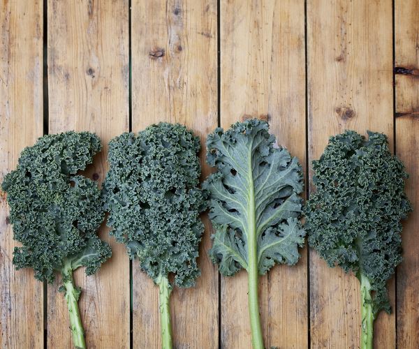 Epicerie locavore Consommer local et de saison à Grenoble, s'engager