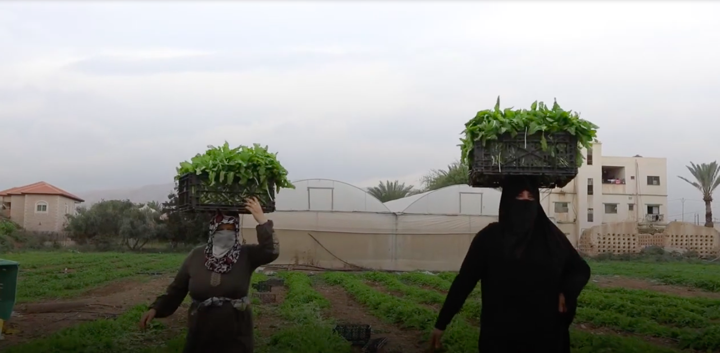 Supporting the development of the Palestinian rural economy