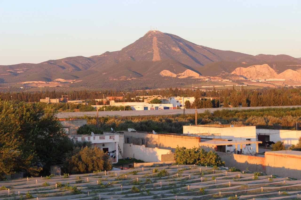 Mornag EcoFarm Food Ideas